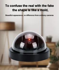 Dummy Security Camera Model: High-Realism Outdoor Simulation for Household Monitoring